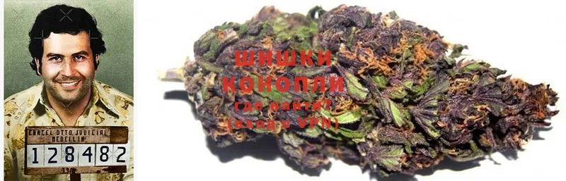 как найти закладки  omg как войти  Бошки марихуана THC 21%  сайты даркнета официальный сайт  Таганрог 